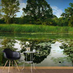 Artgeist - Fotomurale - The Magic Pond 400x280 precio