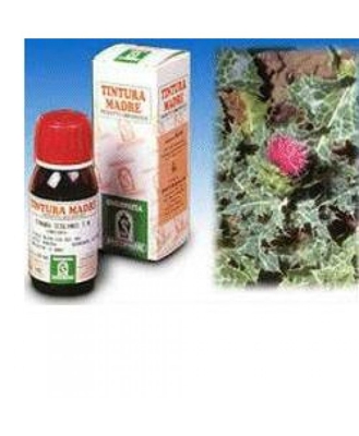 Cardo Mariano 6 50ml Tm