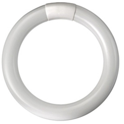Circoline Fluo Trifosfori W22 - DURALAMP