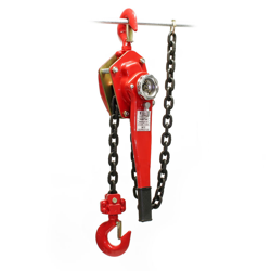 Paranco a catena da 3000kg lunghezza catena 1,5m per sollevamento carichi - WILTEC precio