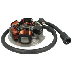 Statore Per Moto Piaggio Vespa FL2 50cc 1991-1997 OEM 430192 - DUCATI características