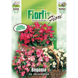 Orvital Spa-semi - Begonia Mix - ORVITAL SPA - SEMI características