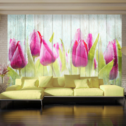 Artgeist - Fotomurale - Tulipani su un legno bianco 350x245 precio