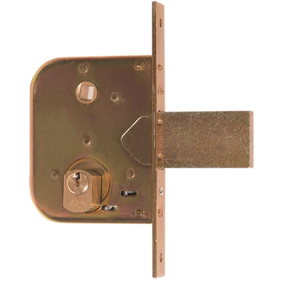 2 PZ Di ISEO ART. 600.45.0 SERR. X CANCELLO C-CIL. - ISEO SERRATURE