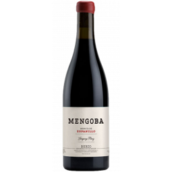 MENGOBA MENCIA DE ESPANILLO 2018 - BODEGAS Y VIÑEDOS MENGOBA características