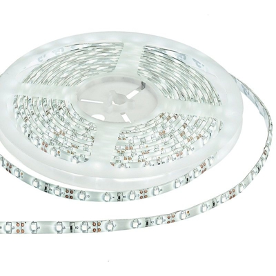 Rotolo Strip 5 M Led 24 Watt Luce Fredda Stripled-3528-f - Intec - GT LUCE