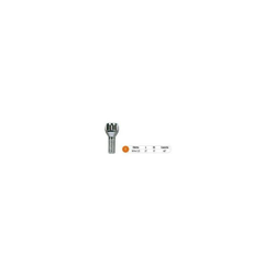 Bulloni antifurto mod.E c/chiave en oferta