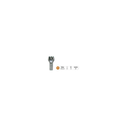 Bulloni antifurto mod.HB c/chiave precio