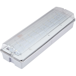 Biard - Luz de seguridad con lámpara de emergencia fija/no fija LED de 4W IP65 precio