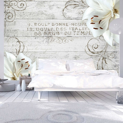 Artgeist - Fotomurale - Bonne Nouvelle - 350x245