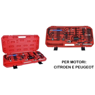 Grecoshop - Kit messa in fase motore/albero a camme per Peugeot/Citroen set 36pz