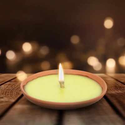 Confezione Risparmio 20x Fiaccola Citronella in Terracotta Diametro 17cm Zanzare - LGV