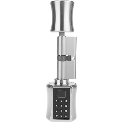 Asupermall - Intelligente antifurto porta di sicurezza serratura a cilindro nucleo modo pratico originale di sblocco: impronta digitale + password +