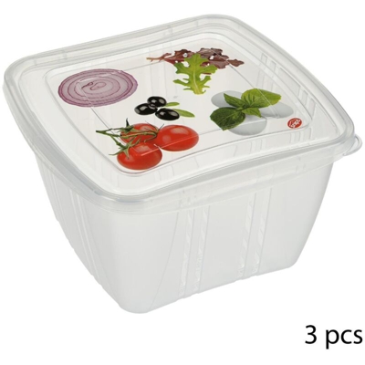 Frigo Box Quadro Lt.1 Set 3 Pz. Fresh - BIGHOUSE IT