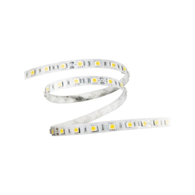 Striscia LED 12V 5 mt. IP64 6400K - LAMPO LIGHTING