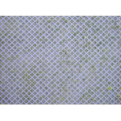 Cartoncino decorato H0 Grigliato erboso 170625 - Faller