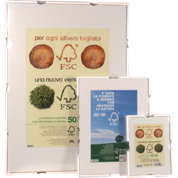 Sc Pinze Fermaquadri X Cornici (Pz.8) (1 Sc) - GENERICO precio