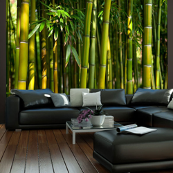 Fotomurale Asiatica foresta di bambu cm 200x154 Artgeist precio