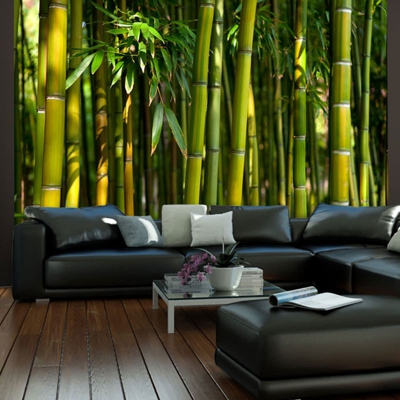 Fotomurale Asiatica foresta di bambu cm 200x154 Artgeist