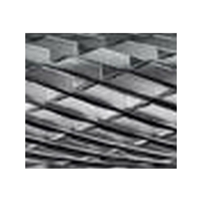 Forum - Fragola Asta 6 Mm, Carburo, Sferica Wrc Cilindrico (Punta Tonda), Denti 3 Plus, Forma: Wrc 0413, Diametro Della Testa 4 Mm Lungo. Testa 13