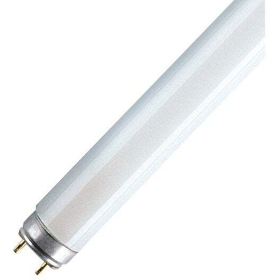 Rilassarsi Lampada Fluorescente L36 / 827 Sb120Cm Warmwhite (A 10) - LEDVANCE