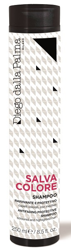 SALVACOLORE SHAMPOO RAVVIVANTE E PROTETTIVO 250 ML precio