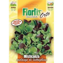 Lattughino Da Taglio Misticanza - ORVITAL SPA - SEMI precio
