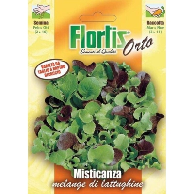 Lattughino Da Taglio Misticanza - ORVITAL SPA - SEMI