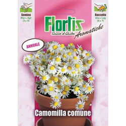 Camomilla - ORVITAL SPA - SEMI precio