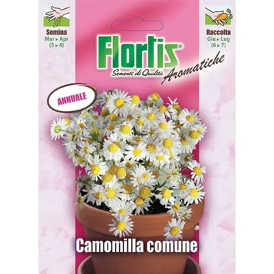 Camomilla - ORVITAL SPA - SEMI