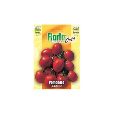 Pomodoro Padano - ORVITAL SPA - SEMI