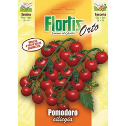Pomodoro Ciliegia - ORVITAL SPA - SEMI precio