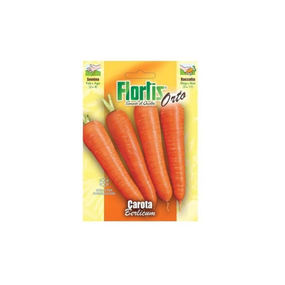 Carota Lunga Berlicum - ORVITAL SPA - SEMI