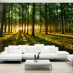 Artgeist - Fotomurale - Mystical Morning - 400x280 en oferta