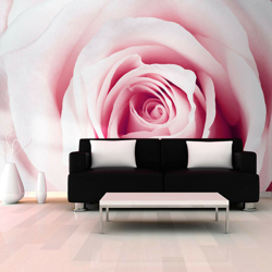 Artgeist - Fotomurale - Rose maze - 200x140 características