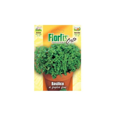 Basilico a Foglia Fine - ORVITAL SPA - SEMI