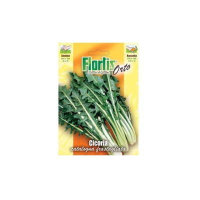 Cicoria Catalogna Foglie Frastagliata - ORVITAL SPA - SEMI