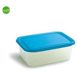 Bighouse It - FRIGO BOX RETT.RE LT.1,25 FRIGOCHEF precio