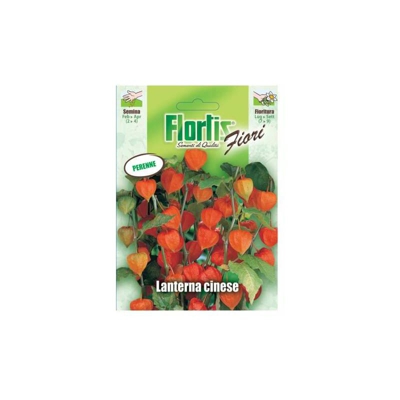 Lanterna Cinese - ORVITAL SPA - SEMI