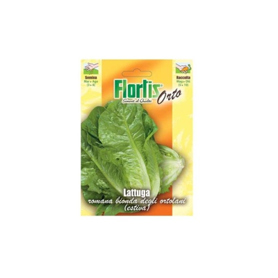 Lattuga Bionda Degli Ortolani - ORVITAL SPA - SEMI
