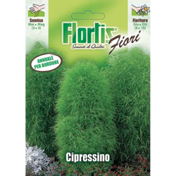 Cipressino - ORVITAL SPA - SEMI características