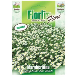 Margheritina Nana Bianca - ORVITAL SPA - SEMI en oferta