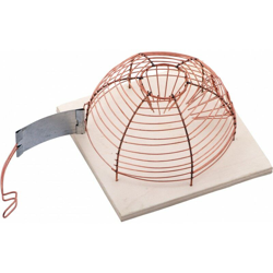 Le Camere Dispongono Di Ratto - FP precio