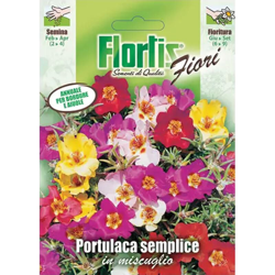 Portulaca Semplice Misc. - ORVITAL SPA - SEMI características
