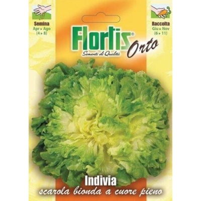 Indivia Scarola Bionda Cuor Pieno - ORVITAL SPA - SEMI
