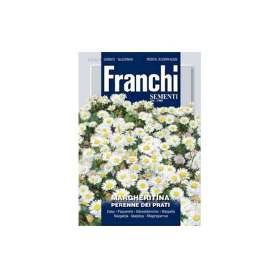 Semi Franchi Margheritina Perenne Art. D336/4 - FRANCHI SEMENTI
