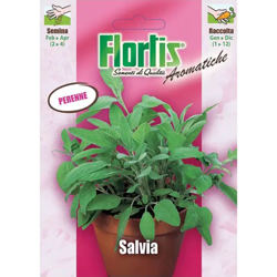 Salvia - ORVITAL SPA - SEMI características