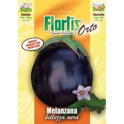 Melanzana Nera - ORVITAL SPA - SEMI