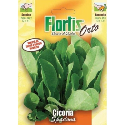 Cicoria Spadona - ORVITAL SPA - SEMI
