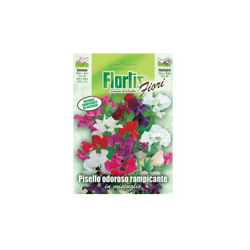 Pisello Odoroso - ORVITAL SPA - SEMI en oferta